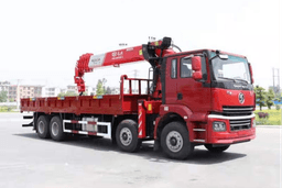 轩德翼3/84ZY(特种自卸车 SX3310MP6266)